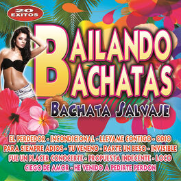 Album cover of Bailando Bachatas