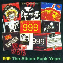 Album cover of The Albion Punk Years