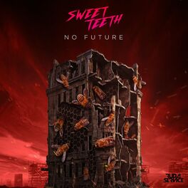 Album cover of No Future