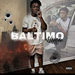 Album cover of Baltimo Lingo
