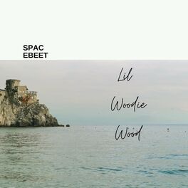 Album cover of SPacebeet (feat. Inez)