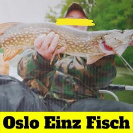 Album cover of Fisch