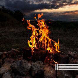 Album cover of Lagerfeuer Im Wilden Wald