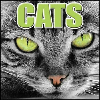 Sound Effects Library - Cat, Domestic - Angry Hiss And Spit, Animal Cats -  Domestic Cats, Authentic Sound FX: Canción con letra