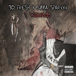 Album cover of Wounds