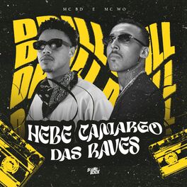 Album cover of Hebe Camargo das Raves