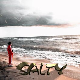 Album cover of Salty