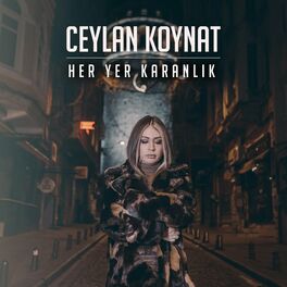 Album cover of Her Yer Karanlık