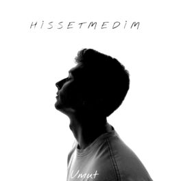 Album cover of Hissetmedim