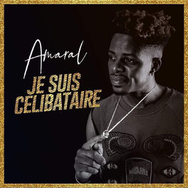Album cover of Je suis célibataire