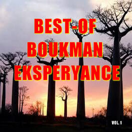 Album cover of Boukman eksperyans (Vol. 1)