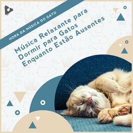 Album cover of Música Relaxante para Dormir para Gatos Enquanto Estão Ausentes