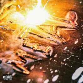 Album cover of METAL