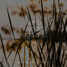 Album cover of Sleep Sounds | Yoga and Sleep
