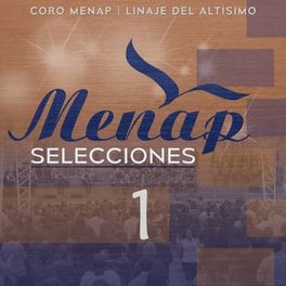 Album cover of Menap Selecciones 1