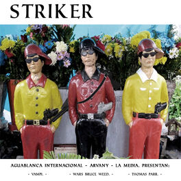 Album cover of Striker
