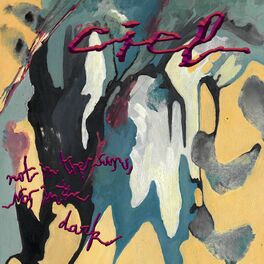 Album cover of Not in the Sun, nor in the Dark