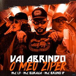 Album cover of Vai Abrindo o Meu Ziper