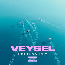 Album cover of PELICAN FLY