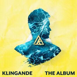 Album cover of The Album