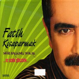 Album cover of Mor Salkımlı Sokak, Vol. 1 (...Ve Senin Şiirlerim...)
