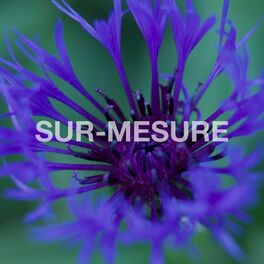 Album cover of Sur-Mesure