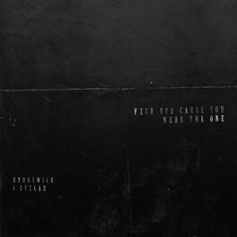 Album cover of FXCK YOU CAUSE YOU WERE THE ONE