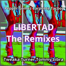 Album cover of Libertad the Remixes