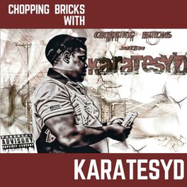 Album cover of Chopping Bricks With Karatesyd