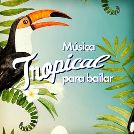 Album cover of Musica Tropical Para Bailar