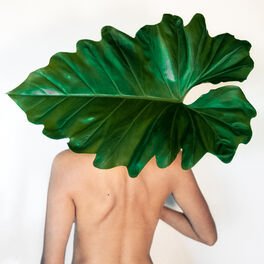 Album cover of Sebastião