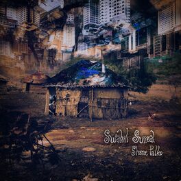 Album cover of Swahili Surreal