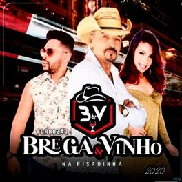 Album cover of Forrozão Brega & Vinho na Pisadinha 2020