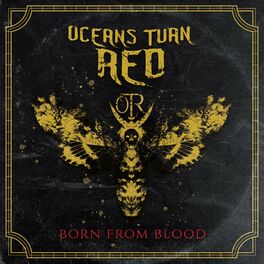 Album cover of Born From Blood (feat. Danillo Visser)