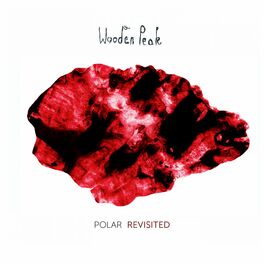 Album cover of Polar Revisited