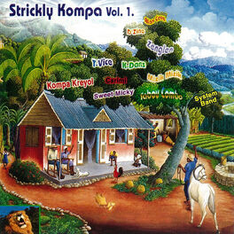 Album cover of Strickly Kompa, Vol. 1