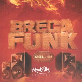 Album cover of Brega Funk, Vol. 1
