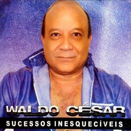 Album cover of Sucessos Inesquecíveis