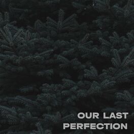 Album cover of Our Last Perfection