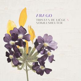 Album cover of Arago