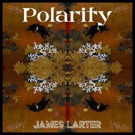 Album cover of Polarity