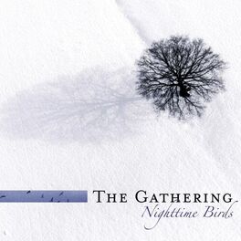 Album cover of Nighttime Birds (Re-issue 2007 incl. Bonus tracks)