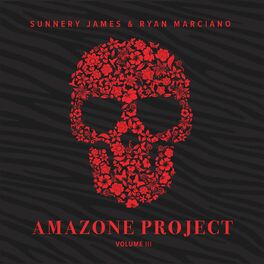 Album cover of Amazone Project, Vol. 3