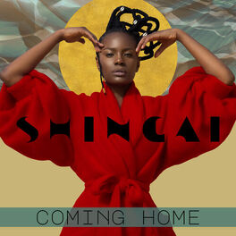 Album cover of Coming Home