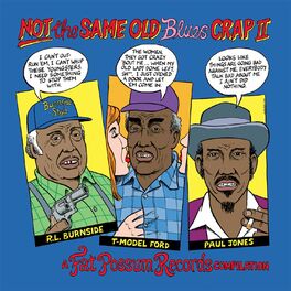 Album cover of Not the Same Old Blues Crap II