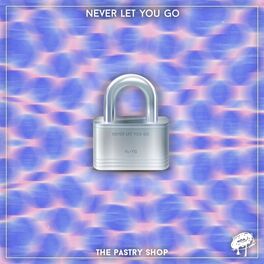 Album cover of Never Let You Go
