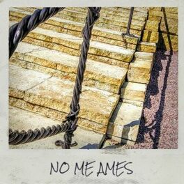 Album cover of No Me Ames