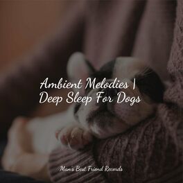 Album cover of Ambient Melodies | Deep Sleep For Dogs