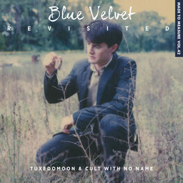 Album cover of Blue Velvet Revisited