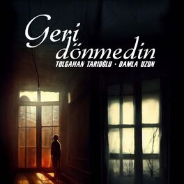 Album cover of Geri Dönmedin